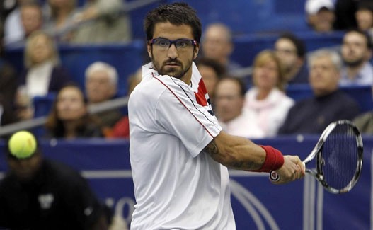 tipsarevic3.jpg