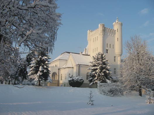 Dvorac zimi.jpg