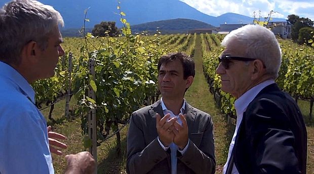 Otac i sinovi Butaris u vinogradu