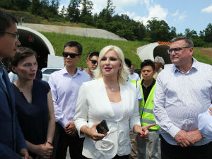 Mihajlovićeva na Koridoru 11: Stajaću im iznad glave svakog dana