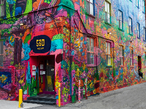 Канадске фото илузије, 3. део