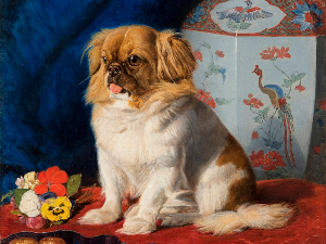 Како је пас украден из Кине изазвао британску помаму за луксузом