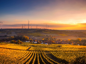 Песме мога краја - Банат