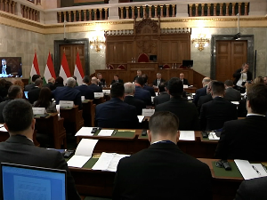 На скупу у Будимпешти о проширењу ЕУ и реформским процесима, учествује Орлић