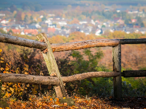 1001 Траг - Тарабица од младог церића