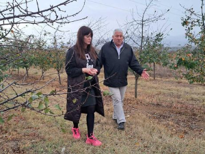 Знање имање: Домаћинска економија