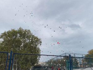 Балони и стабла јапанске трешње у знак сећања на убијене у "Рибникару"