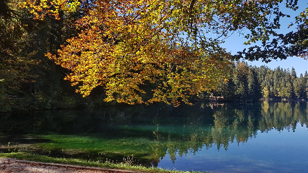 Догодило се на данашњи дан:  9. новембар