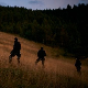 Пет, 8-11