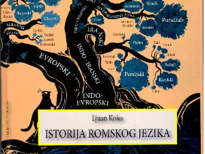 Подршка очувању и развијању ромског језика