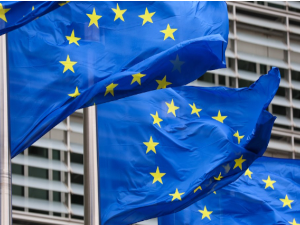 Сијарто: Министри ЕУ без одлуке о почетку преговора са Украјином