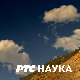 Одгонетање тела: Биологија