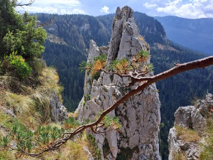 Квадратура круга: Приче које се памте – новогодишњи специјал, први део