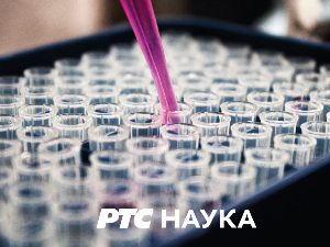 Одгонетање тела: Блиски рођак