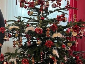 Сумирање досадашњих резултата и планови за наредну годину