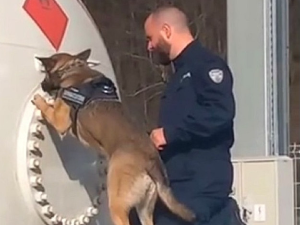 Управа царина објавила снимак цистерне у којој је заплењено више од пола тоне марихуане