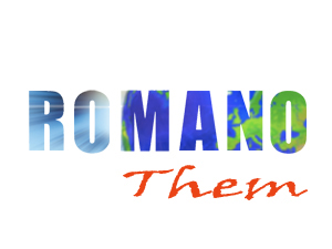 Скрнављење спомен-плоче Душану Јовановићу изазвало оштре осуде ромских организација