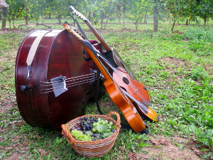  Тамбурица златна жица 