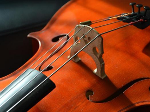 Кијан Солтани, виолончело