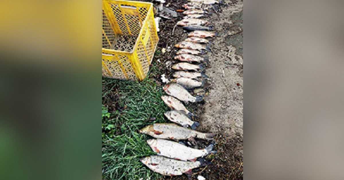 Крушевљанин ухапшен са 40 мрежа и 20 килограма рибе