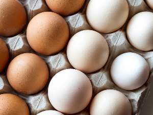 Зашто су лук и јаја рекордери у поскупљењу - шта брже расте, плате или цене