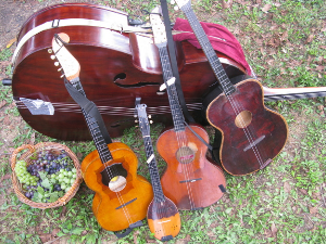  Тамбурица златна жица 