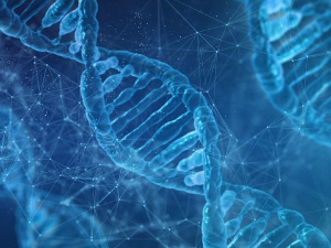 Гени и интелигенција – научна гледишта кроз историју