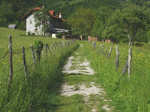  1001 Траг – Завичајна – Радиша Урошевић 