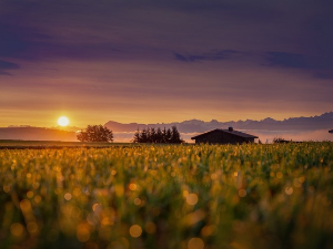  1001 Траг – Чим рујна зора заруди – Миодраг Миле Богдановић 