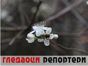 Гледаоци репортери (26. март 2023.)