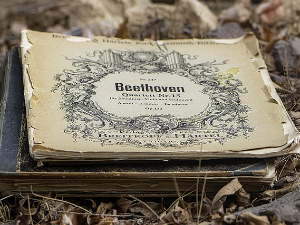 Бетовен: биографија ‒ музика?