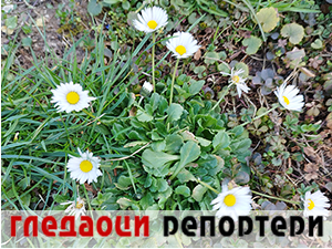 Гледаоци репортери (10. март 2023.)