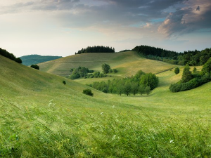 Колико водимо рачуна о природи?