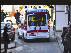 Дечак у Скопљу страдао пошто га је напао пас