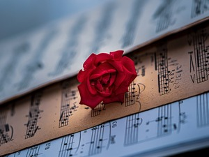 Жене у музици – Луиз Фаренк