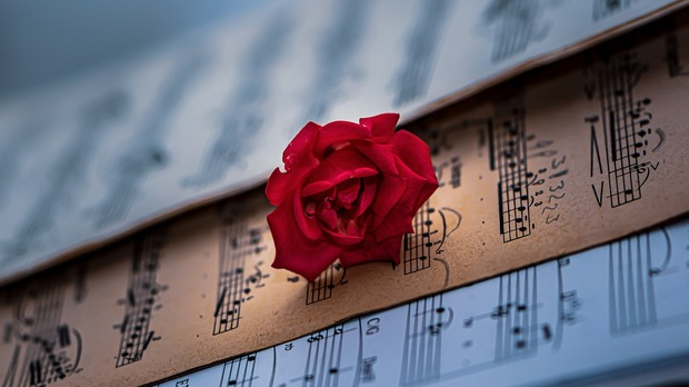 Жене у музици