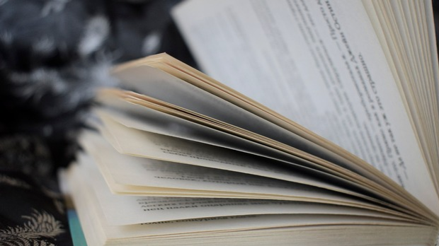 Песник Брана Петровић