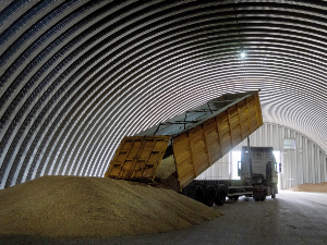 Да ли јефтино украјинско жито хлади европски ентузијазам за њен брзи пријем у ЕУ