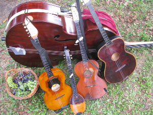  Тамбурица златна жица 