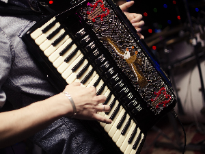  Свирај свирче - клавирна хармоника 