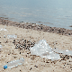 Животни век пластике против човековог опстанка 