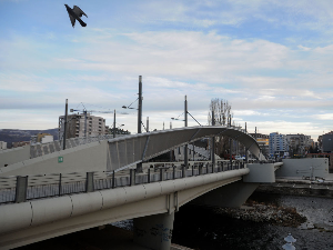 Петковић: Курти провоцира наредбом да Скупштина Северне Митровице одлучи о отварању моста на Ибру