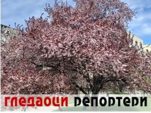 Гледаоци репортери (4. април 2023.)