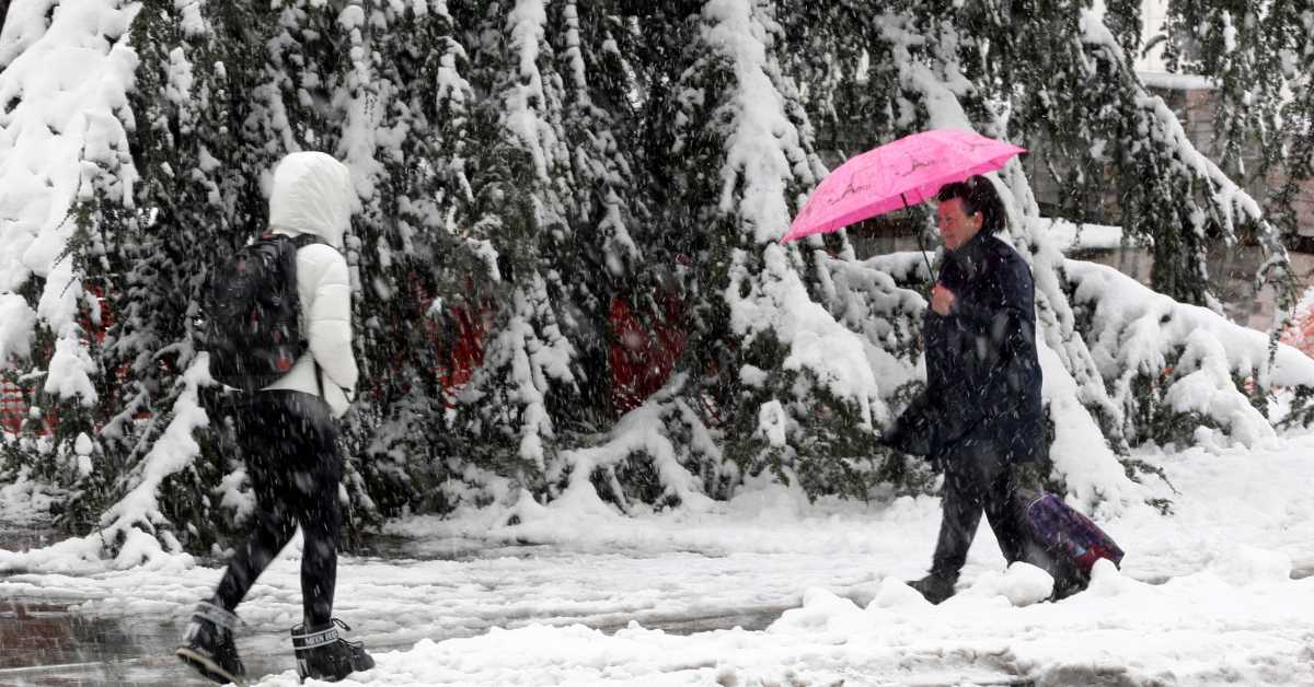Србија под снегом: Поједини путеви непроходни, стабла пала на аутомобиле, више села без струје, расте водостај река