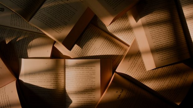 О преводиоцима и преводилаштву – говори Дејан Ацовић   