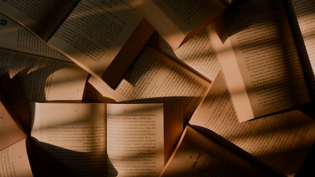 Наташа Миловић: Драма алтер-идентитета (3)   