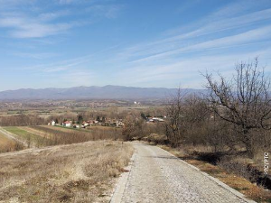 Знање имање: Снага породице