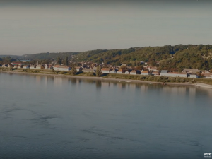  1001 Траг - Дунаве моје море - Предраг Гојковић Цуне 