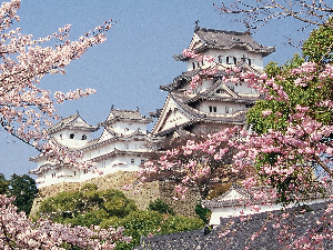 Неодољиви шарм самурајских тврђава