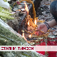 Стални тимови